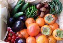 फल और सब्जी का उपयोग रखे काया निरोग Use of fruits and vegetables can help in keeping the body healthy.