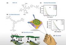 इलेक्ट्रॉनिक सेंसर से मिलेगी सीवर में मौजूद जहरीली गैसों की टोह Electronic sensors will get the poisonous gases in the sewer