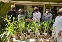 ग्रीनमैन विरल देसाई ने ईदी में पेड़ देने की पहल की Green man Viral Desai took the initiative to give a tree in Eidi