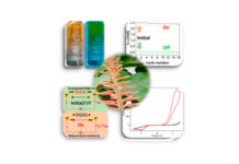 मेमोरी-चिप बनाने में भी उपयोगी हो सकता है एलोवेरा Aloe vera can also be useful in making memory-chip