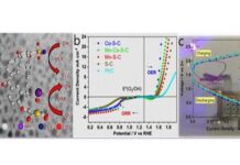 किफायती और प्रभावी बैटरी का मिला विकल्प Found option of economical and effective battery