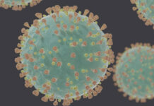 चार शहरों का समूह करेगा कोरोना वायरस जीनोम निगरानी group of four cities will do corona virus genome surveillance