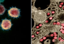 कोरोनावायरस के जीनोम-अनुक्रमण के लिए भारत-श्रीलंका की संयुक्त पहल India-Sri Lanka joint initiative for genome-sequencing of corona virus