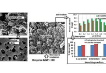 कटहल के छिलके से बने नैनो-कम्पोजिट घटा सकते हैं जल-प्रदूषण Nano-composites made from jackfruit peel can reduce water pollution