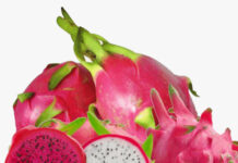 शोधकर्ताओं ने ड्रैगन फ्रूट को बताया सुपर-फूड Researchers call dragon fruit a super-food