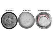 शोधकर्ताओं ने विकसित की दूध में मिलावट का पता लगाने की नई पद्धति New method for detecting adulterants in milk