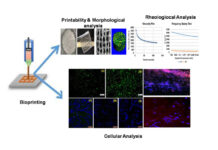 3डी बायोप्रिंटिंग से त्वचा ऊतक निर्माण की तकनीक A women-led startup develops deep-tech for reliable low-cost internet services to rural areas