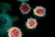 कोरोना वायरस जीनोमिक निगरानीके प्रयासों में तेजी Coronavirus genomic surveillance mechanism intensified