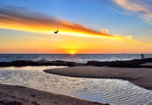 बढ़ रहा है हिंद महासागर की सतह का तापमान Indian Ocean surface temperature is rising