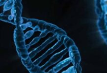 डीएनए टेक्नोलॉजी रेगुलेशन बिलविचाराधीन: डॉ जितेंद्र सिंह DNA Technology Regulation Bill under consideration: Dr Jitendra Singh