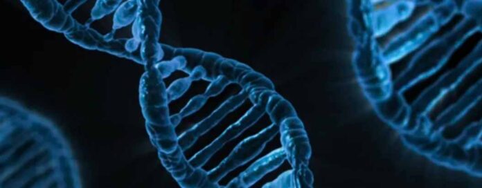 DNA Technology Regulation Bill under consideration: Dr Jitendra Singh