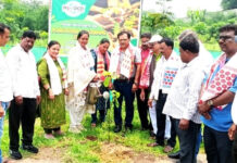 न्युवोको के जोजोबेरा सीमेंट प्लांट ने व्यापक सीएसआर कार्यक्रमों के माध्यम से जीवन को समृद्ध बनाया