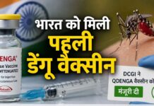 डेंगू की वैक्सीन से जिले की तस्वीर बदलेगी